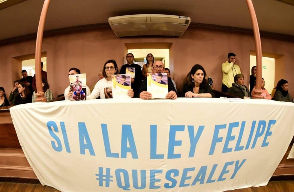 La provincia de Entre Ríos busca reglamentar la Ley Felipe