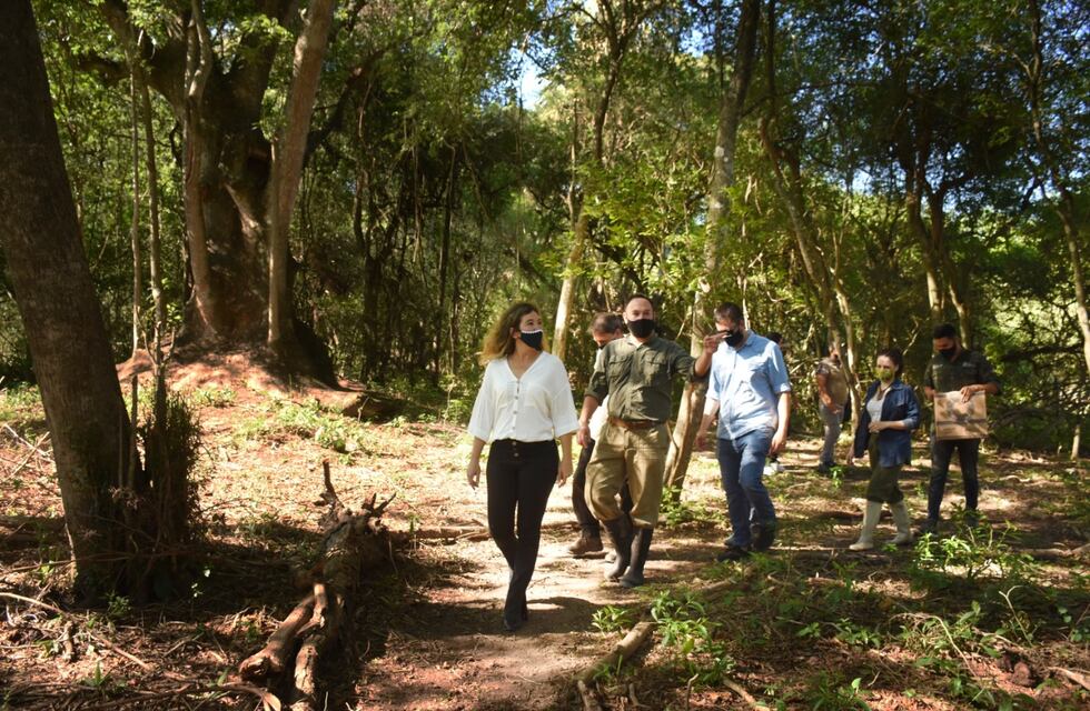 El gobierno trabaja en fortalecer la reserva Monte Constanza en Colonia Benítez