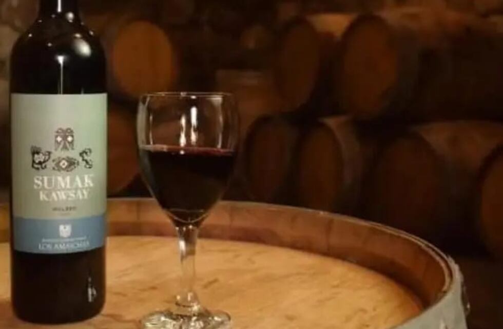 Comuneros se unen para tener su propia marca de vino en Amaicha del Valle