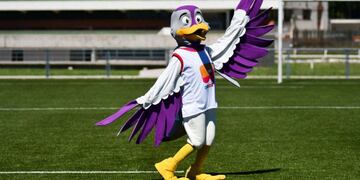 El tero también fue la figura de los Juegos Cruz del Sur que se realizaron en la ciudad en 1982.