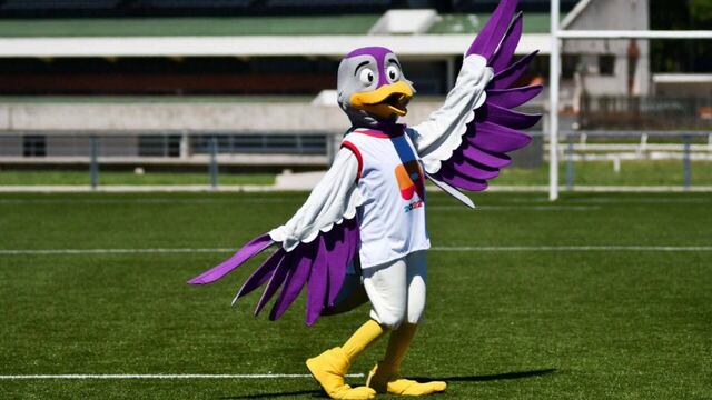 El tero también fue la figura de los Juegos Cruz del Sur que se realizaron en la ciudad en 1982.