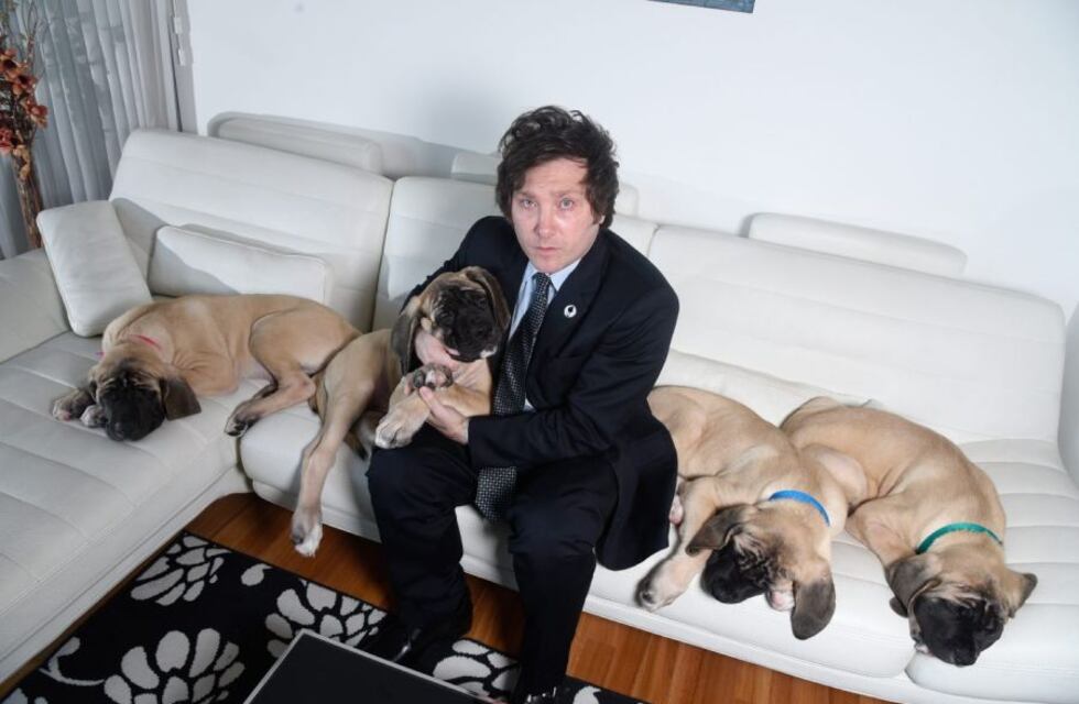 Milei apuntó contra la prensa por un anuncio sobre sus perros: “Que le dediquen menos tiempo a cuestiones privadas”