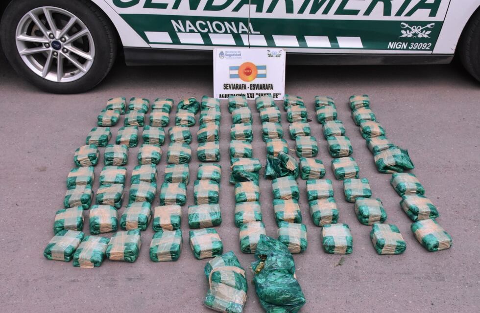Gendermería encontró 50 kg de hojas de cocaína en Rafaela