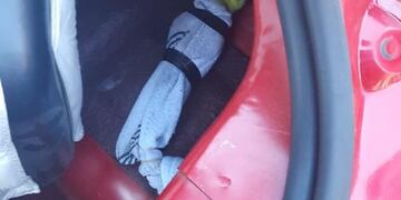 Mendocino quedó detenido por trasladar cotorras y peces en su auto y en malas condiciones.