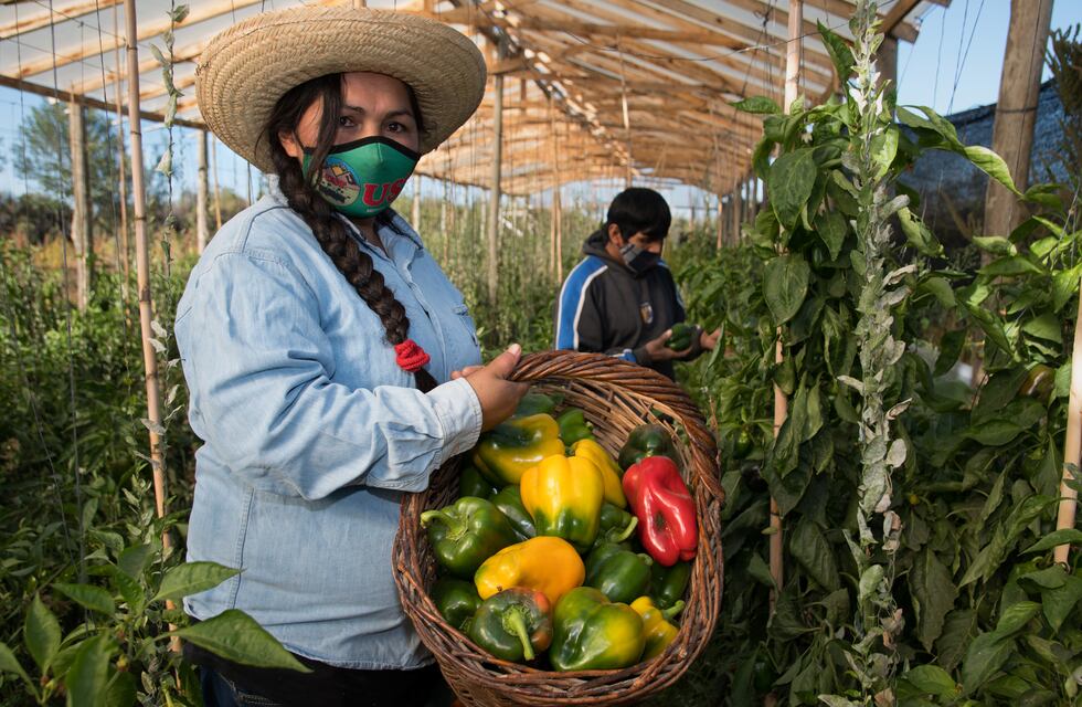 Mendoza tendrá un Almacén Campesino, agroecológico y cooperativo en Ciudad