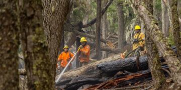Suman brigadistas nacionales a la lucha contra el incendio en la Reserva Provincial