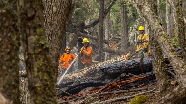 Suman brigadistas nacionales a la lucha contra el incendio en la Reserva Provincial