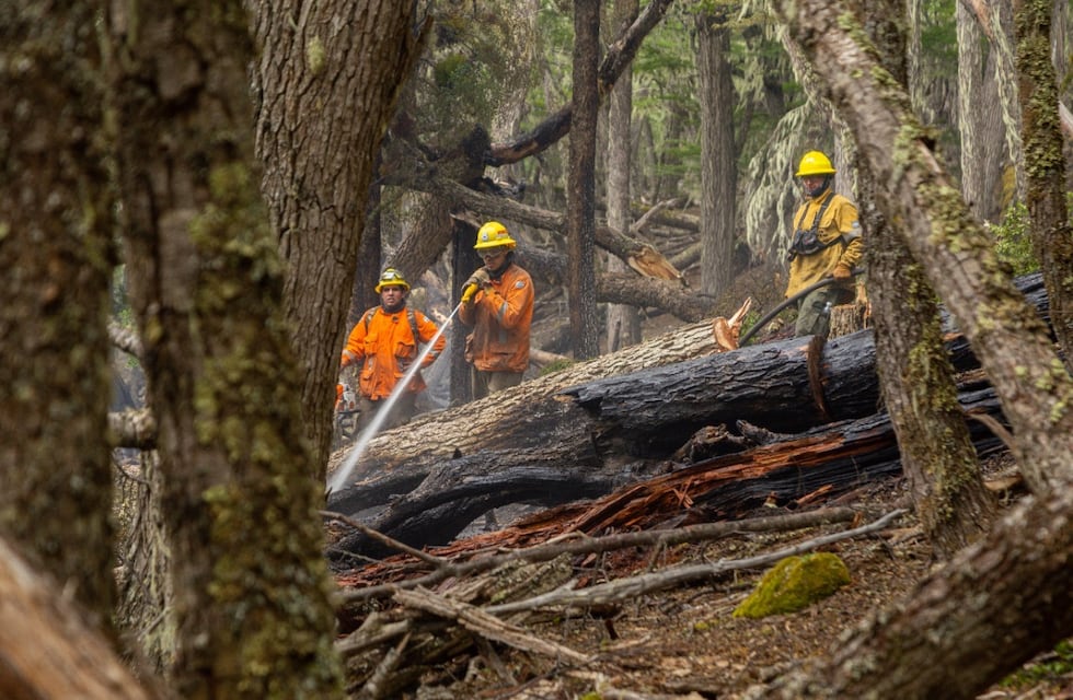 Tierra del Fuego: situación del incendio en la Reserva Provincial