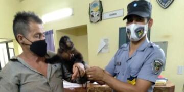 Rescataron a un mono “caí” que estaba lastimado