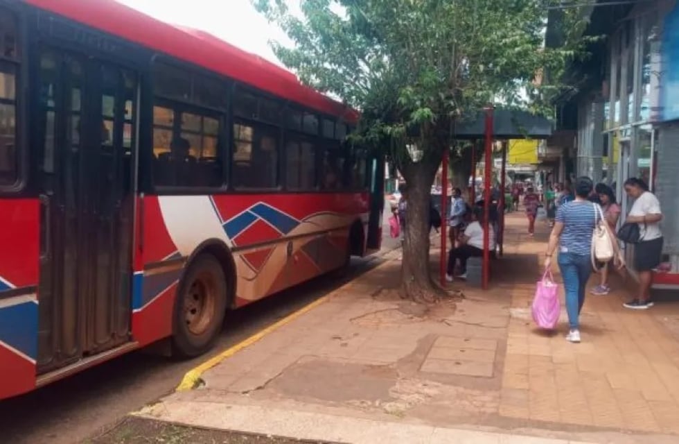 Licitación del transporte urbano: Eldorado abre hoy las ofertas de empresas