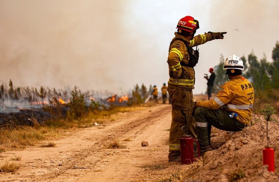 Incendios en Corrientes: la impactante foto de unos bomberos cordobeses salvando a un animal de las llamas