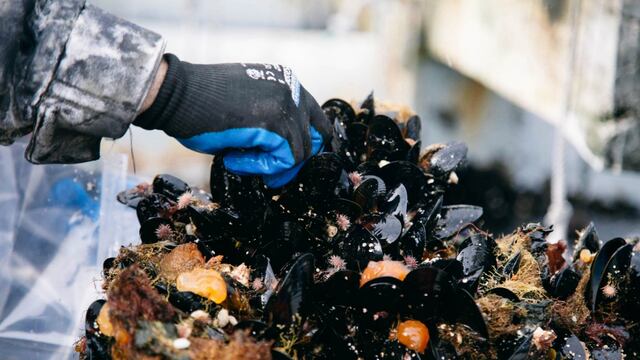 Lanzaron una nueva herramienta de financiamiento para productores fueguinos