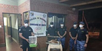 La policía rescató animales maltratados de una vivienda en Loreto.