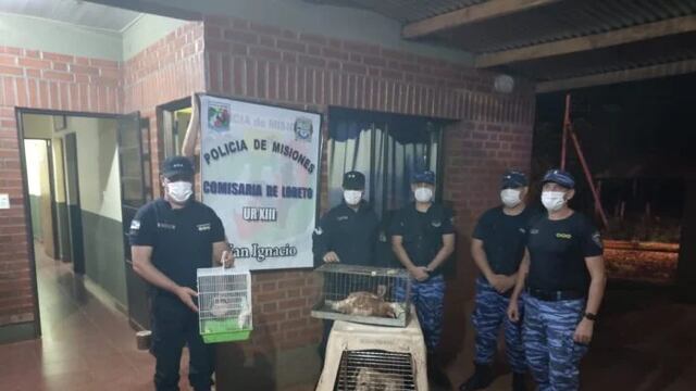 La policía rescató animales maltratados de una vivienda en Loreto.