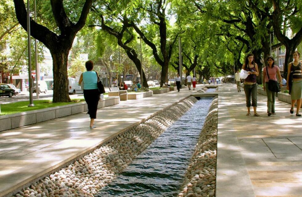Un turista se cayó a una acequia al llegar a Mendoza, se burló de ella y se hizo viral en Twitter