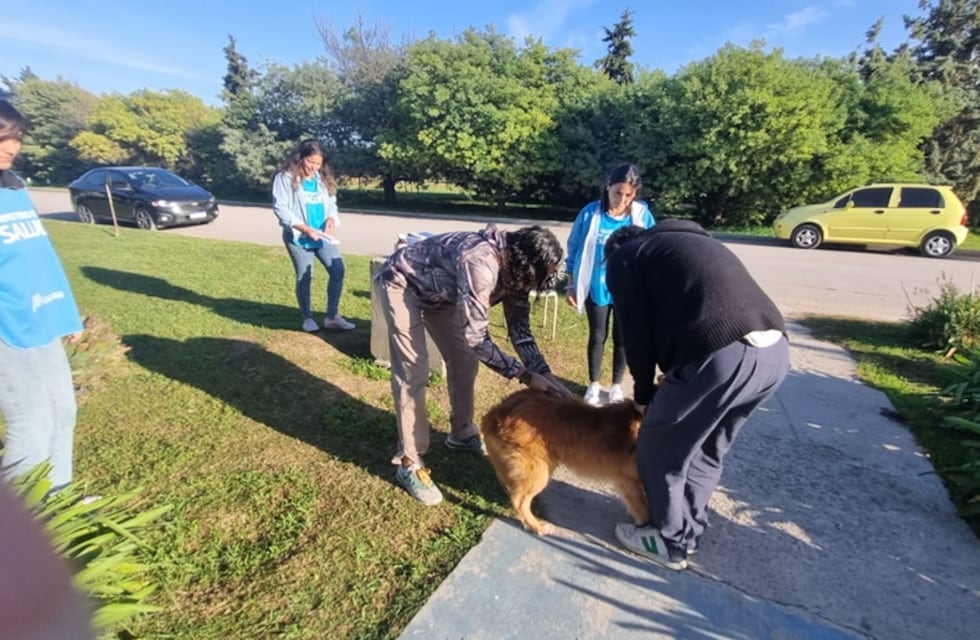 Nueva jornada de vacunación antirrábica gratuita en el CAPS 3 de Chaves