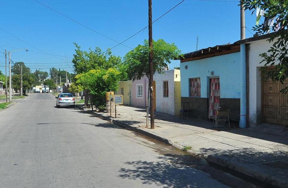 Inesperado hallazgo en Córdoba: encontraron huevos de un ave poco común en el centro de la ciudad