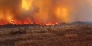 Bomberos intentan combatir el fuego desatado en los campos de Gendarmería Nacional.