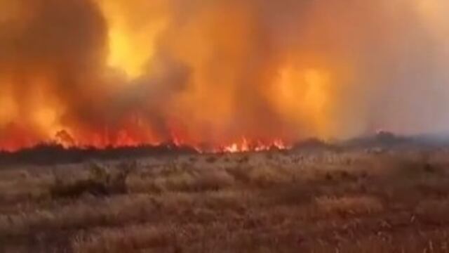 Bomberos intentan combatir el fuego desatado en los campos de Gendarmería Nacional.