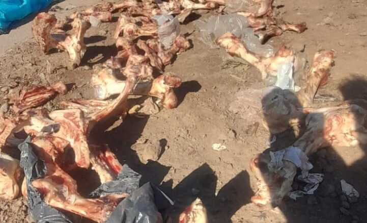 El frigorífico lanzó restos de carne, huesos y bolsas a la vía pública.
