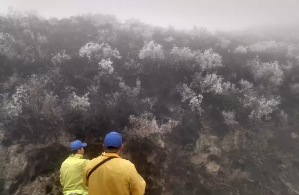 La nieve apagó los incendios forestales en Andalgalá