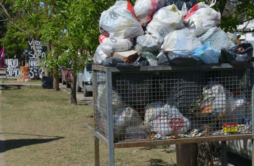Encontraron un feto entre la basura y ahora investigan su origen