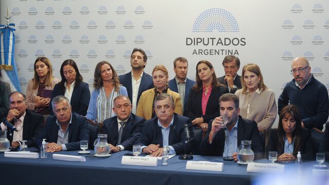 Juntos por el Cambio necesita una mayoría calificada para avanzar con el juicio político (Foto: Federico López Claro)