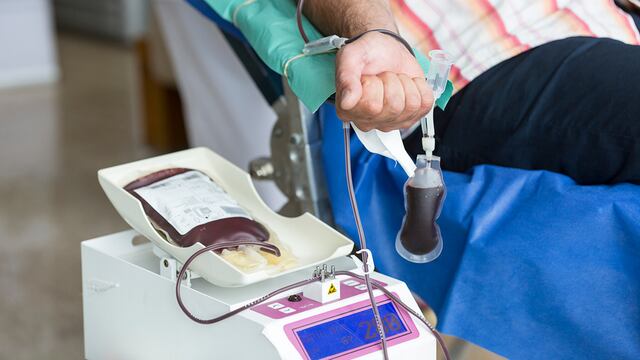 Voluntario adulto donando sangre / Sanatorio Allende