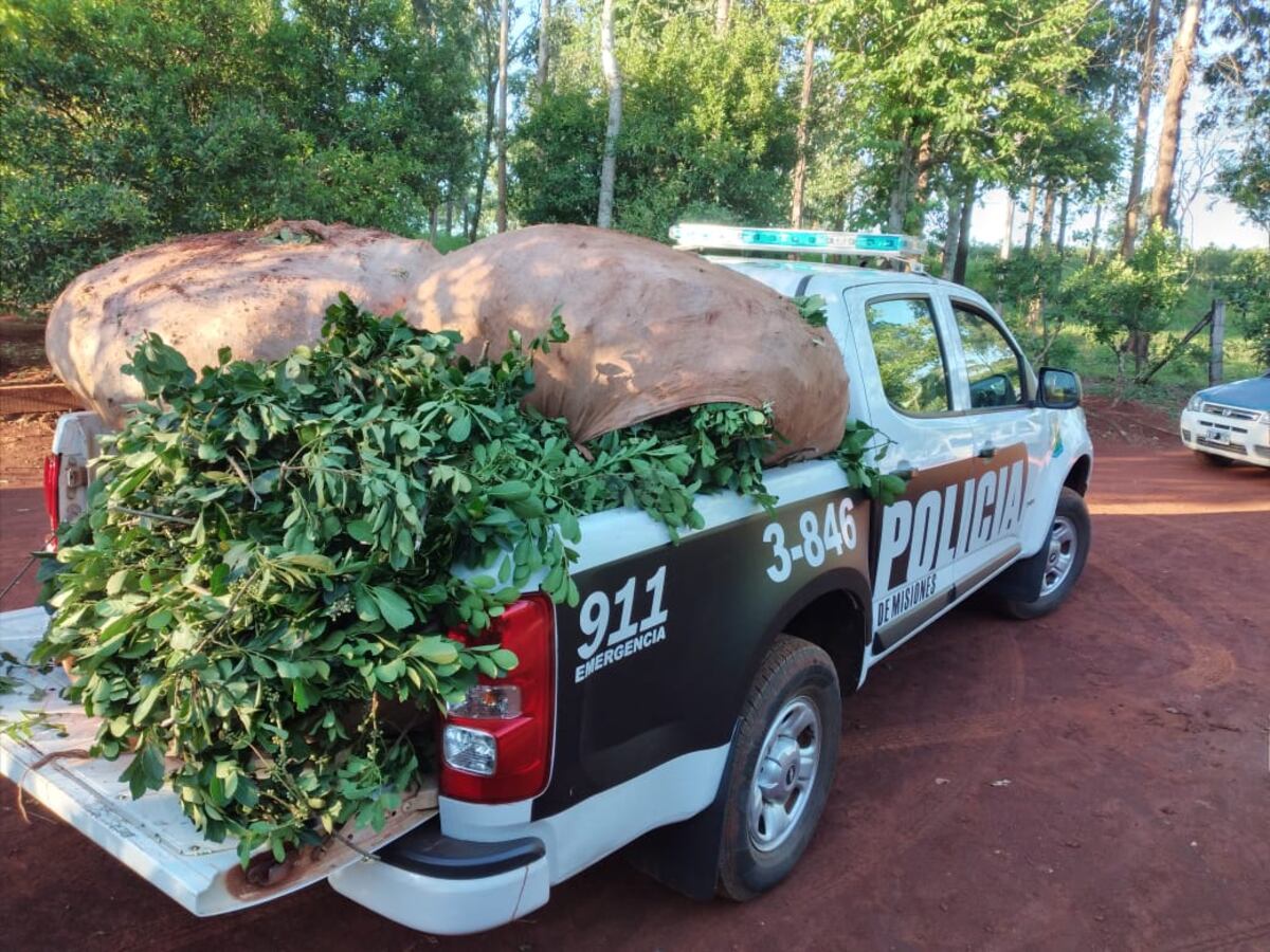 Una mujer detenida luego de robar yerba mate en Picada Integración
