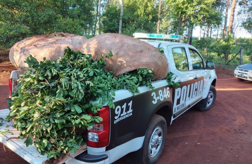 Dos de Mayo: una mujer detenida luego de robar yerba mate en Picada Integración