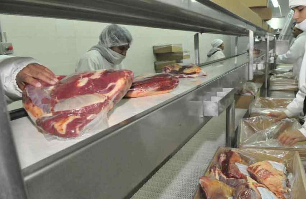 Exportaciones de carne bovina 2022