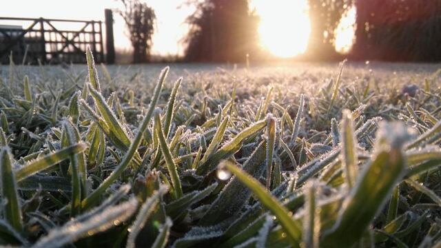 ¿Cómo estará el tiempo en Azul durante el fin de semana?