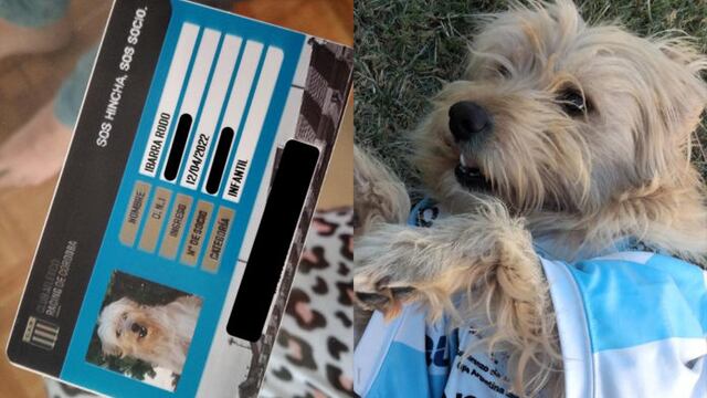 Rodo el perro académico, con su carnet.