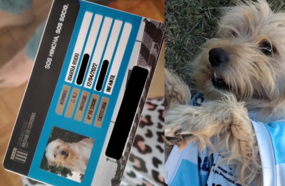 Amor a la cordobesa: hizo de Racing de Nueva Italia al perro de su novio, como sorpresa de Pascuas