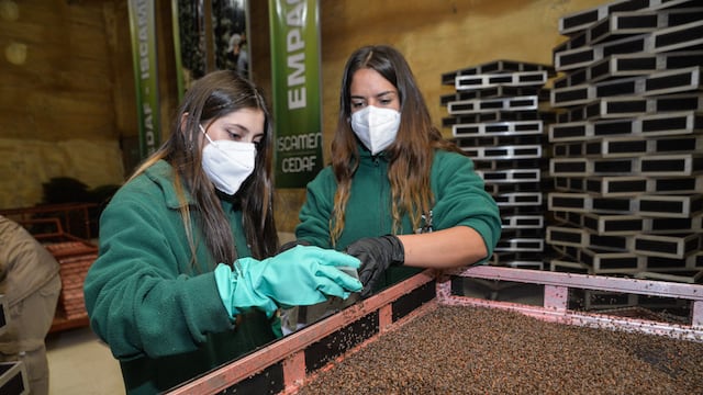 Suarez inauguró el Centro de Distribución y Empaque de Adulto Frío de la mosca del mediterráneo en General Alvear.
