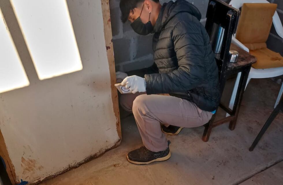 Eldorado intensifica controles contra el mosquito que transmite el dengue