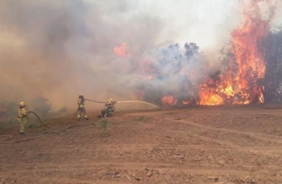 Incendios en Córdoba: el Gobierno nacional declaró la emergencia agropecuaria en las zonas afectadas