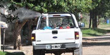 En qué barrios fumigarán este jueves 1 de febrero.