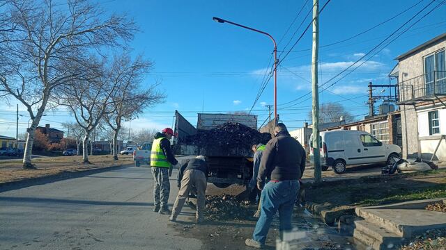 Actividades de Higiene Urbana, resumen semanal