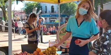 Desde este jueves, habrá Feria Franca Saludable en Posadas.