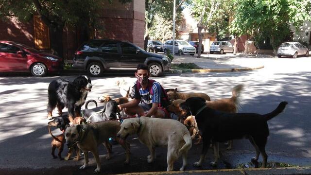 En San Martín sancionas con multas de más de $1.000 a quienes no recojan las deposiciones de sus mascotas. Imagen ilustrativa
