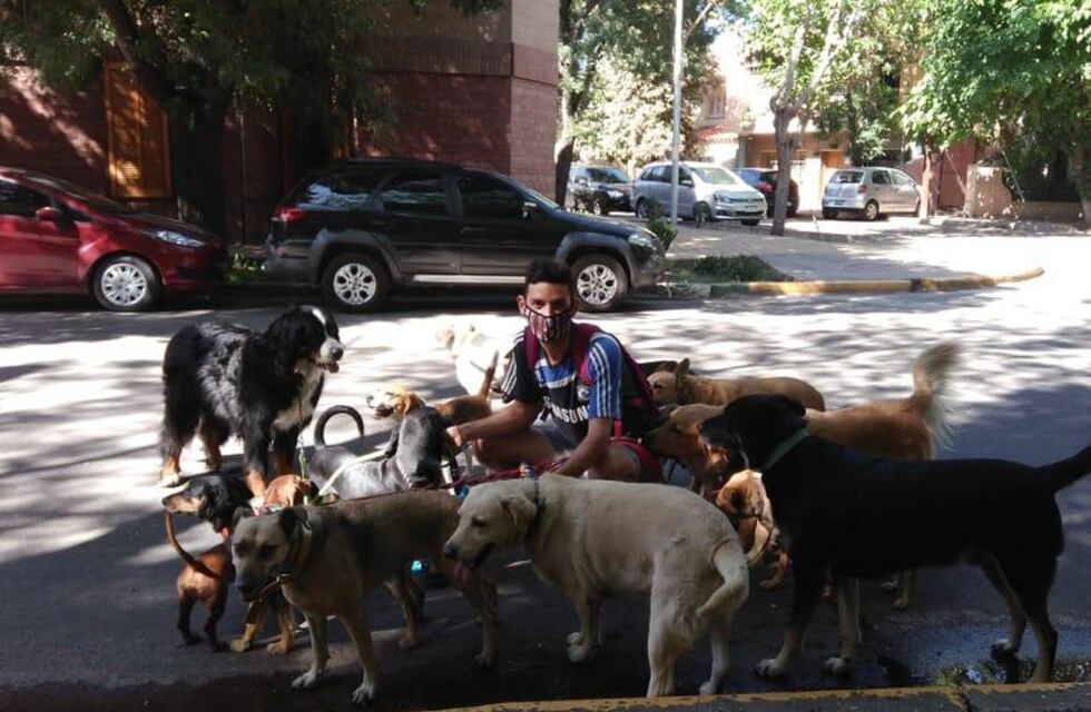 San Martín multará con más de $1.000 a quienes no recojan las deposiciones de sus mascotas