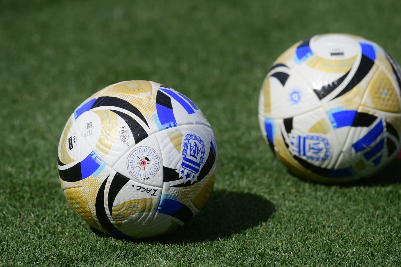 Pelota de fútbol argentino para la Liga Profesional. (José Gabriel Hernández / La Voz)