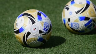 Pelota de fútbol argentino para la Liga Profesional. (José Gabriel Hernández / La Voz)