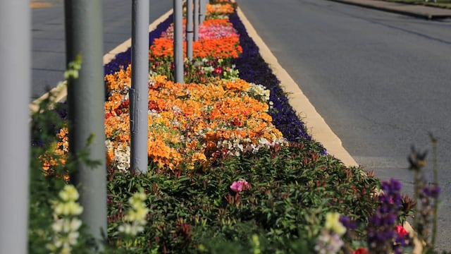 Mónaco: “Rio Grande Construye un plan que a largo plazo será recordado como el salto de calidad de nuestra ciudad”