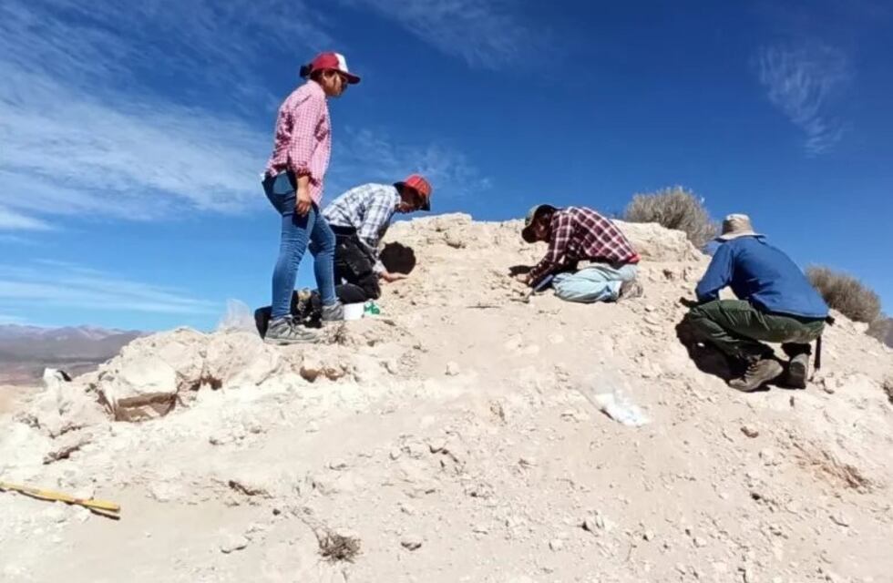 El perezoso gigante de Humahuaca vivió allí hace 2,5 millones de años