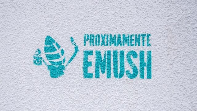 La ciudad se prepara para una nueva edición del EMUSH