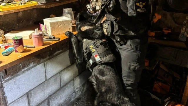 Allanamiento en Tanti: detienen a un hombre y secuestran cocaína