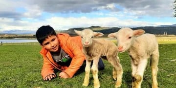 Benjamín, el niño de Chubut que rescató dos corderos.