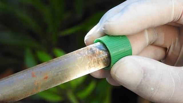 La próxima semana se llevará adelante la XXIV edición del Programa LIRAa en Posadas.